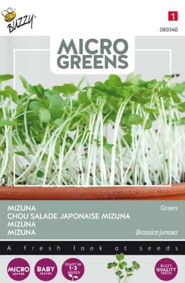 Microgreens Mizuna Grun 500 Samen